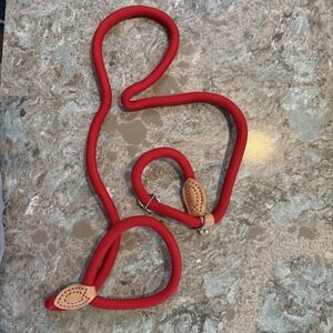 5' Nylon‎ Leather Slip Lead Dog Leash Red Dog Training Walking Exercise